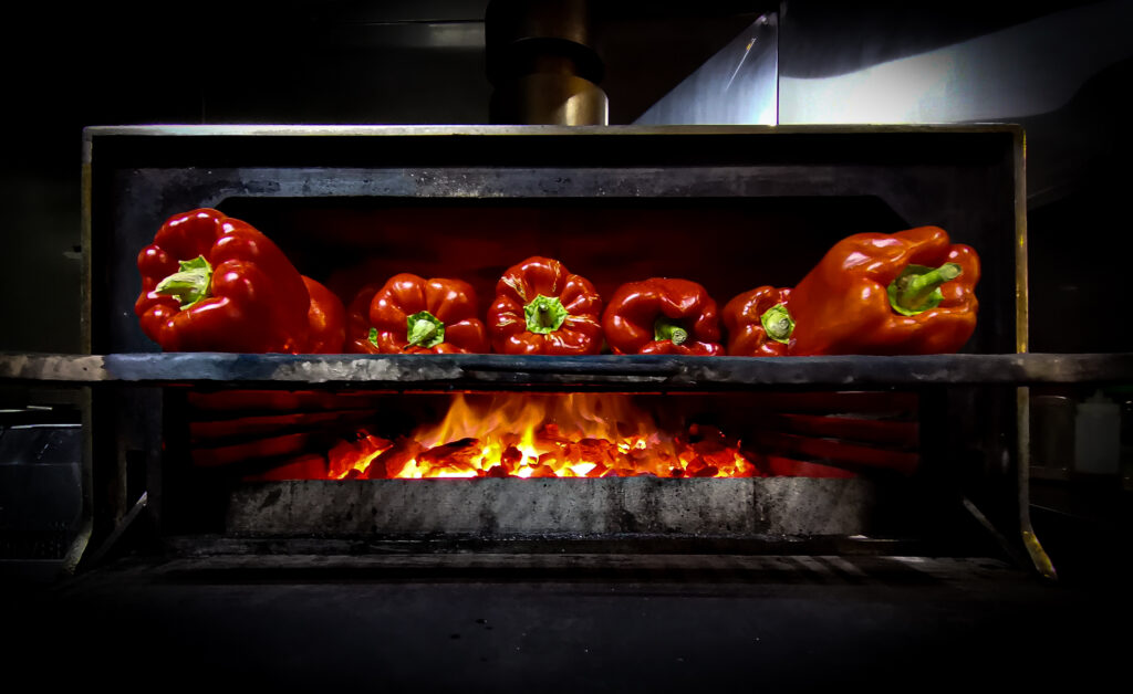 Horno profesional de brasa para restaurantes